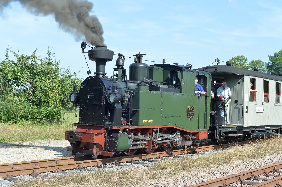Lok 54 Döllnitzbahn 2015 August 04